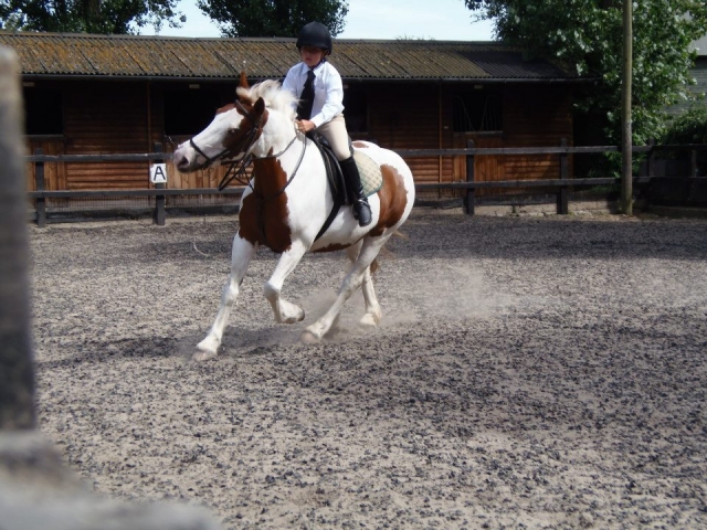 We have excellent facilties